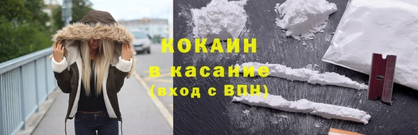 прущие грибы Балахна