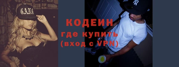 прущие грибы Балахна