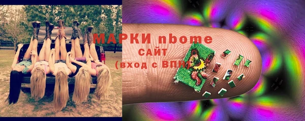 прущие грибы Балахна