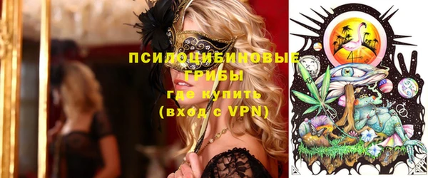 прущие грибы Балахна